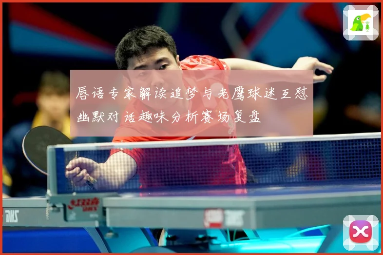 唇语专家解读追梦与老鹰球迷互怼幽默对话趣味分析赛场复盘