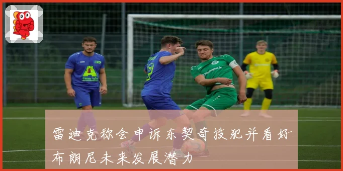 雷迪克称会申诉东契奇技犯并看好布朗尼未来发展潜力
