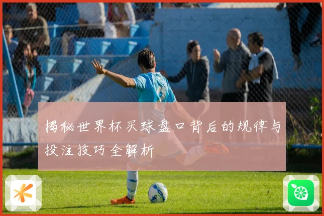 揭秘世界杯买球盘口背后的规律与投注技巧全解析